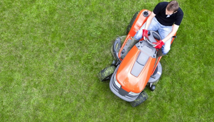 Frühjahrspflege_Terminbild